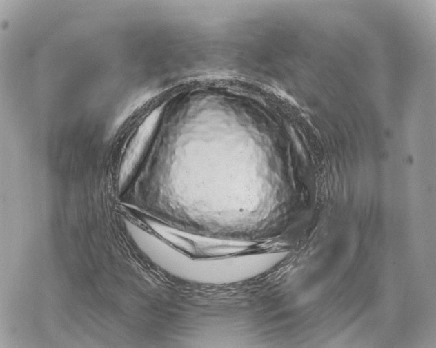 X0000070221255200606161658