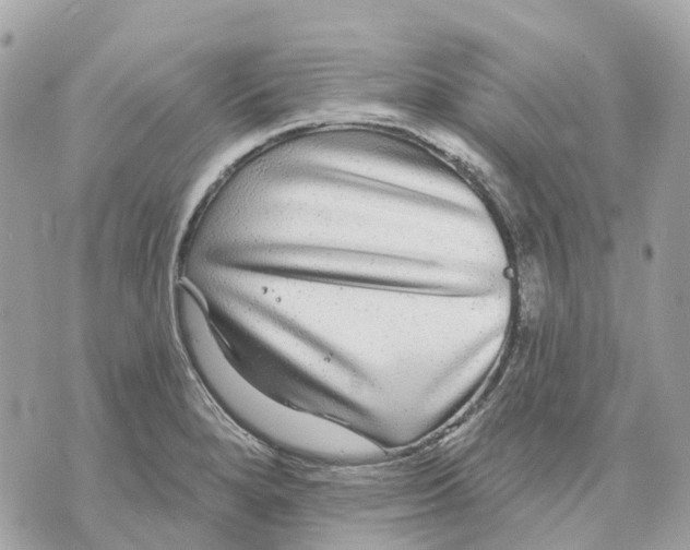 X0000070221280200606161658