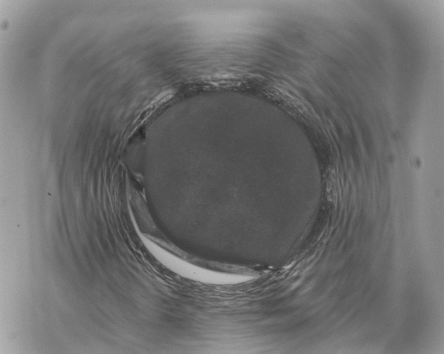 X0000070221298200606161657