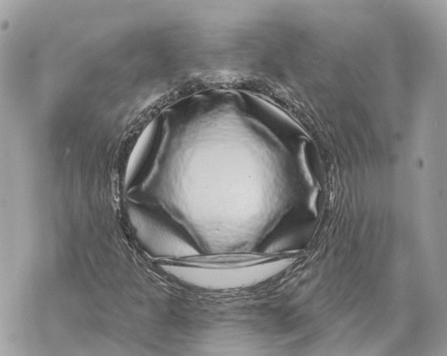 X0000070221301200606161657