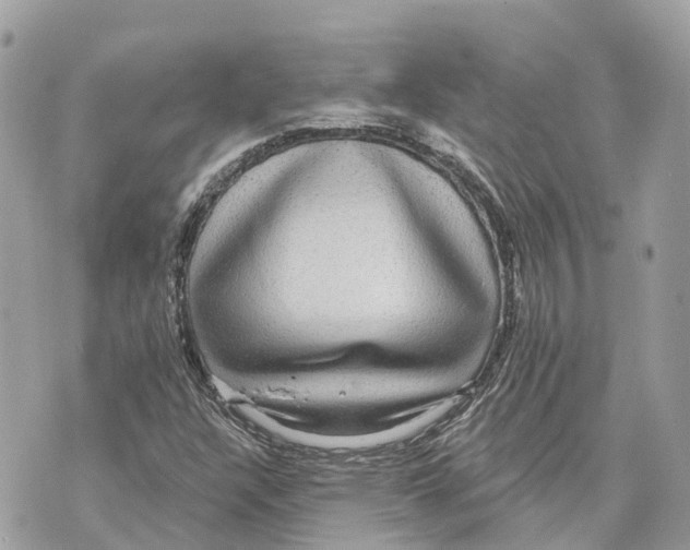 X0000070221304200606161657