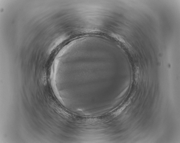 X0000070221306200606161657