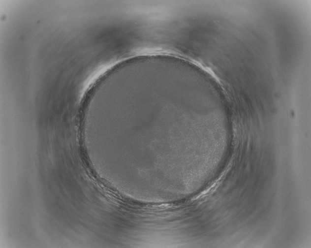 X0000070221311200606161657