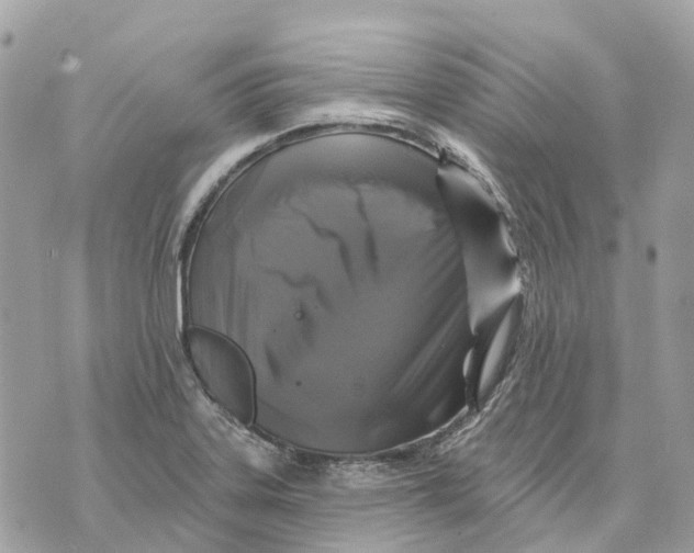 X0000070221323200606161657