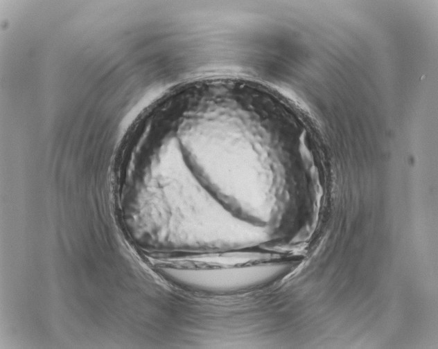 X0000070221325200606161657