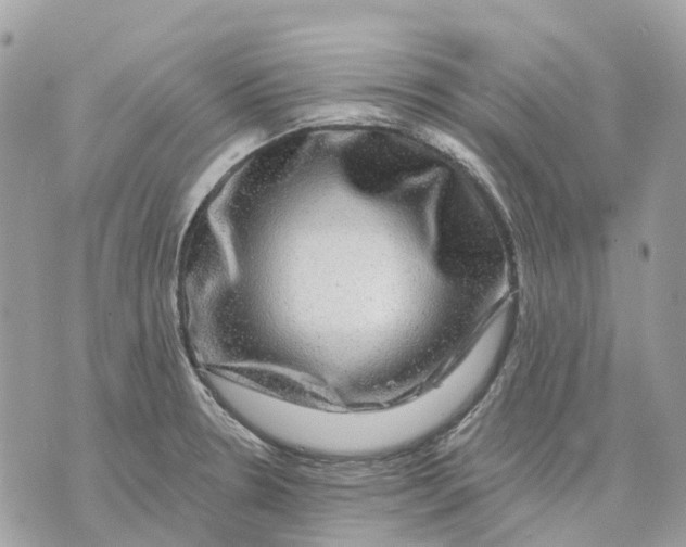 X0000070221330200606161657