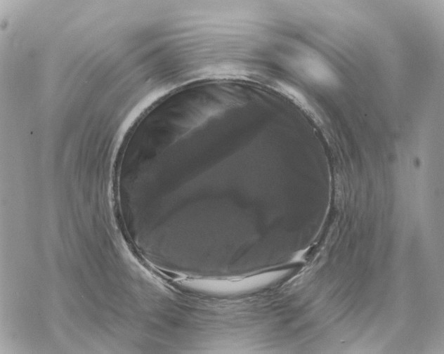 X0000070221331200606161657