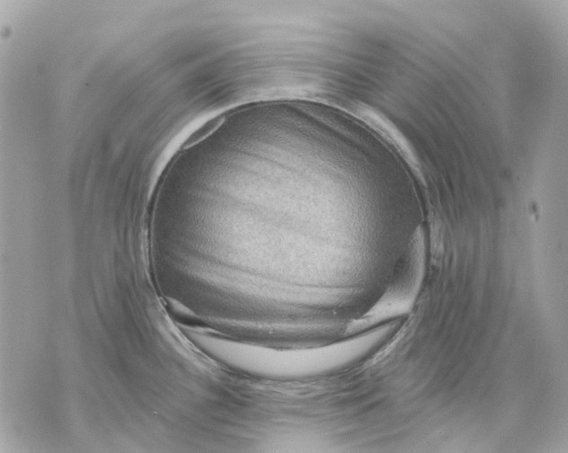 X0000070221340200606161657