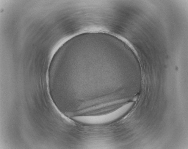X0000070221343200606161657