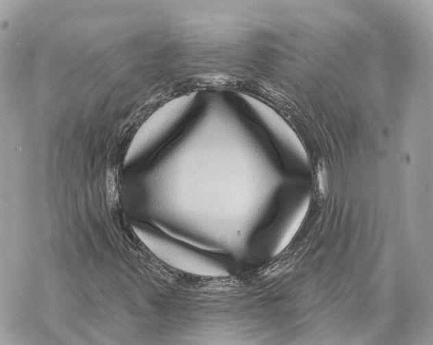 X0000070221347200606161657