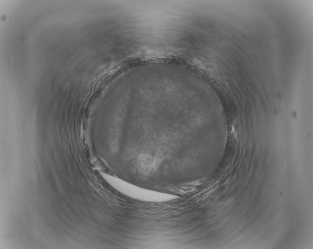 X0000070221348200606161657