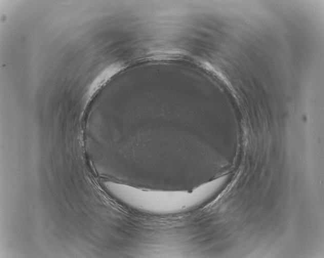 X0000070221362200606161656