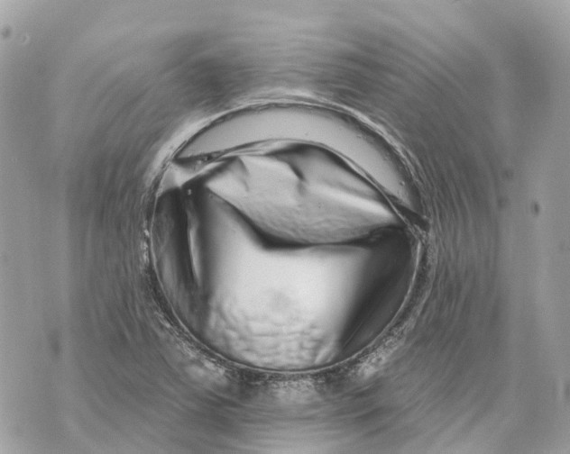 X0000070221363200606161656