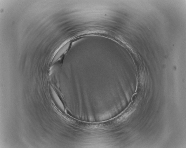 X0000070221369200606161656