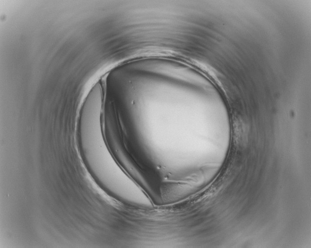 X0000070221379200606161656
