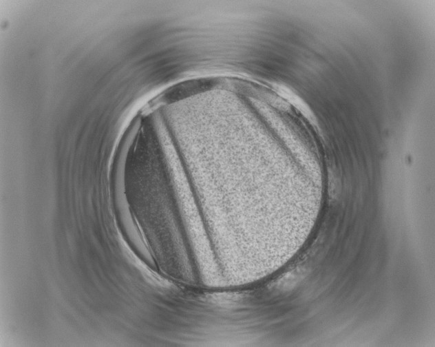 X0000070221380200606161656