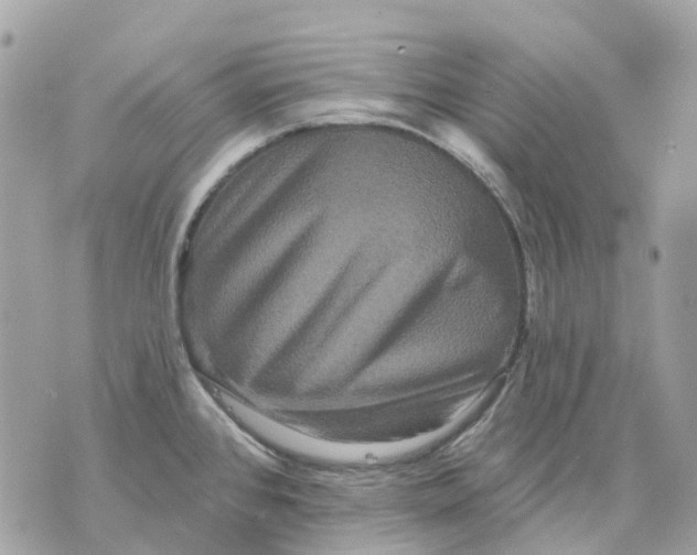 X0000070221384200606161656