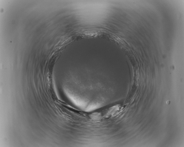 X0000070221394200606161655