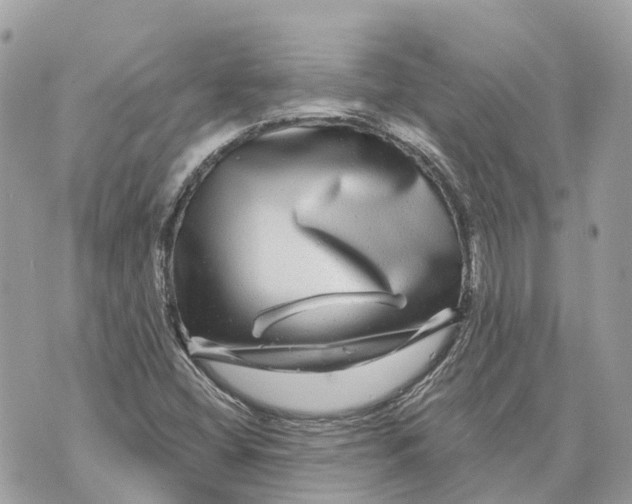 X0000070221404200606161655