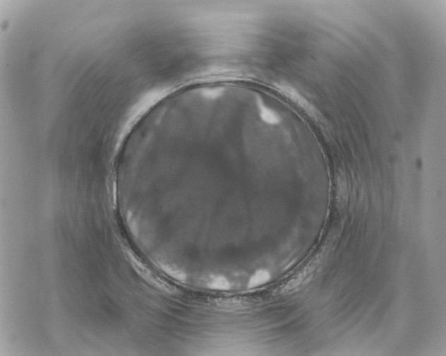 X0000070221413200606161655