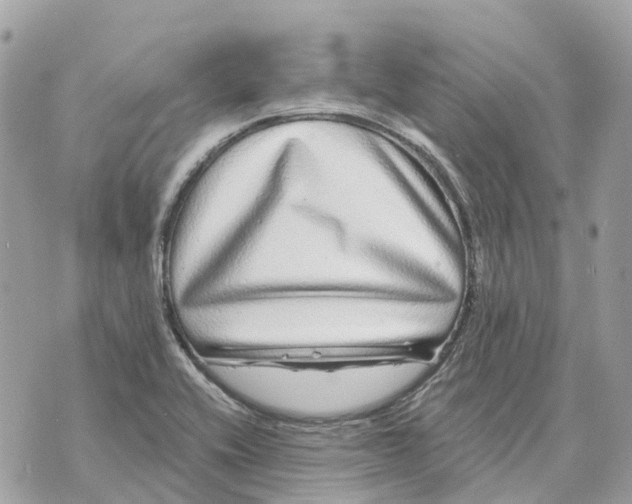 X0000070221416200606161655