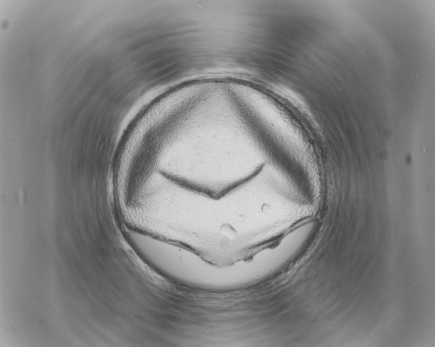 X0000070221420200606161655