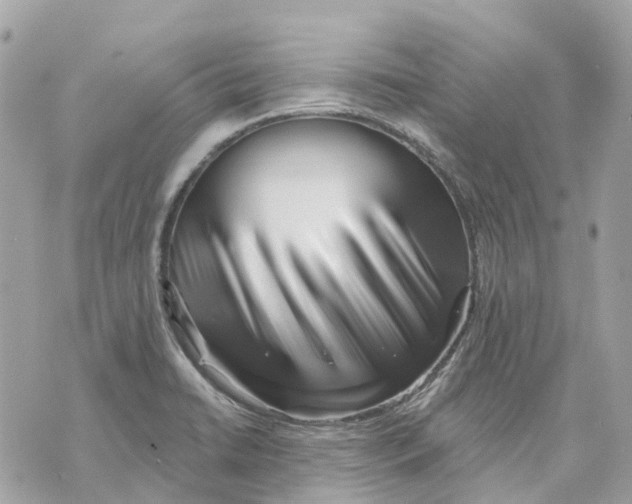 X0000070221422200606161655