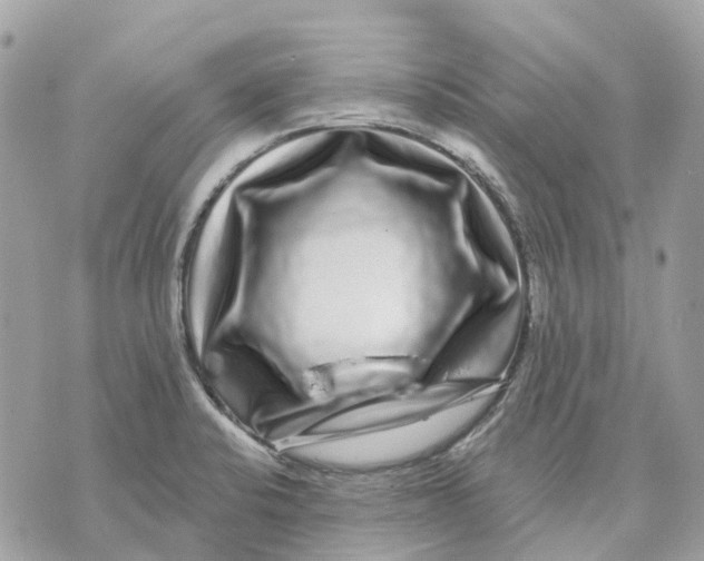 X0000070221424200606161656