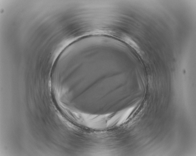 X0000070221428200606161656