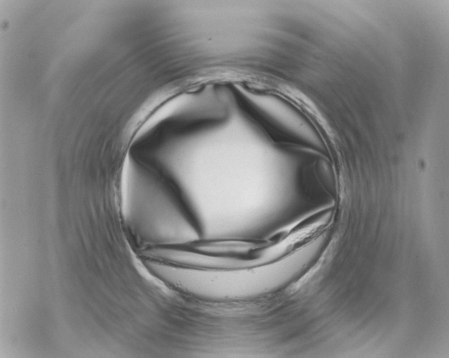 X0000070221433200606161656