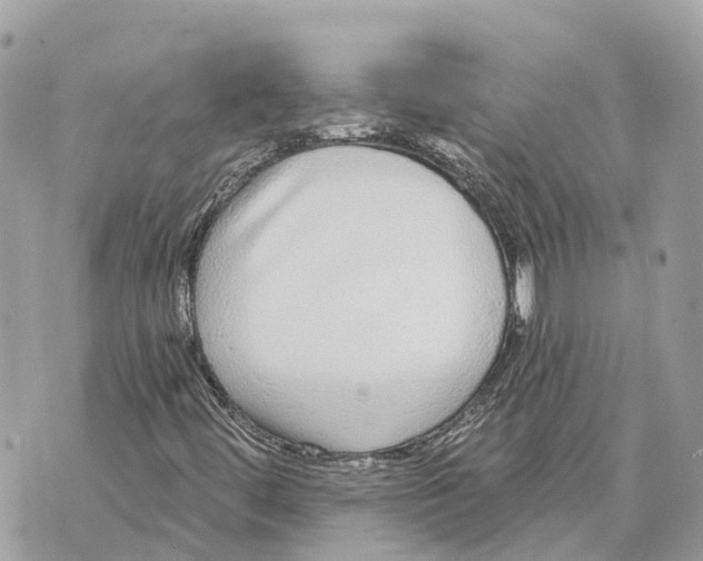 X0000070221444200606161655