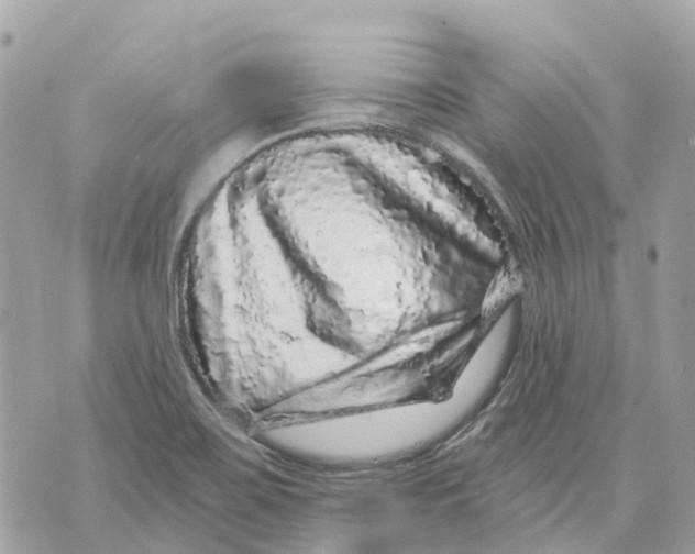 X0000070221467200606161655
