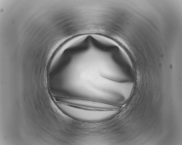 X0000070221468200606161655