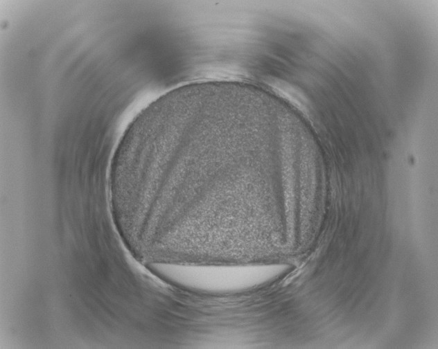 X0000070221471200606161655