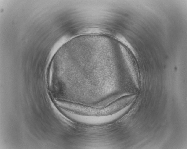 X0000070221475200606161654