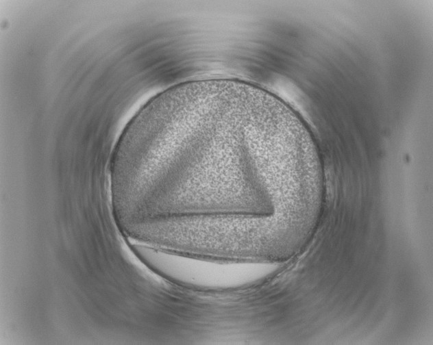 X0000070221476200606161654