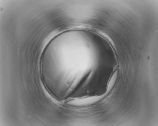 X0000070221483200606161654