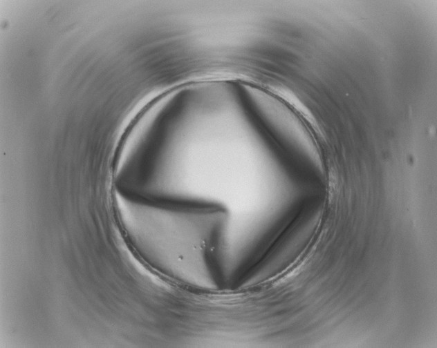 X0000070221484200606161654