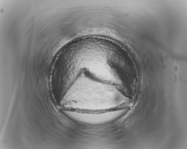 X0000070221505200606161654