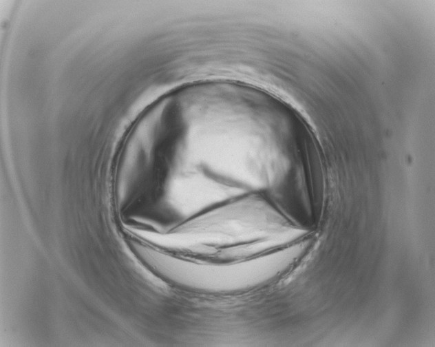 X0000070221525200606161654