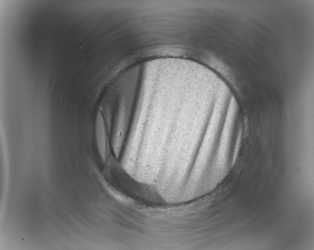 X0000070220013200606232143