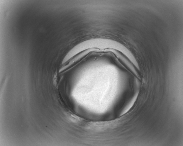 X0000070220033200606232143