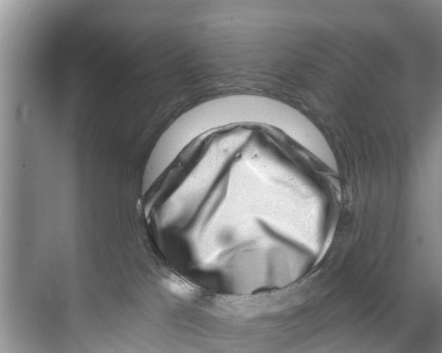 X0000070220041200606232142