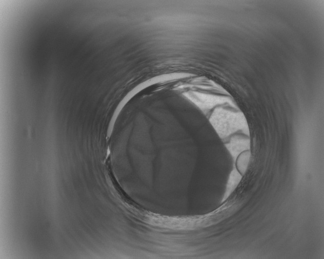 X0000070220048200606232142