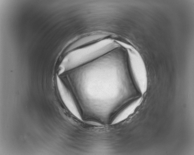 X0000070220050200606232142