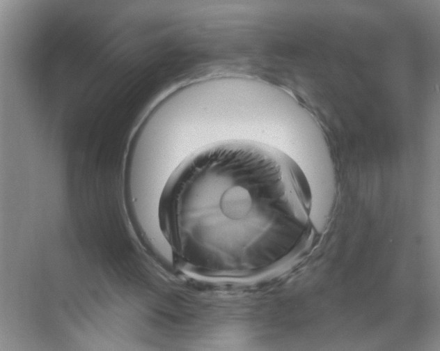 X0000070220052200606232142