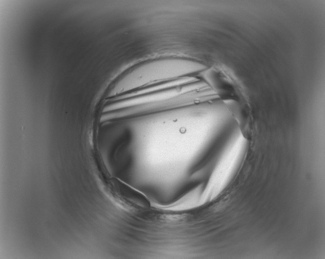 X0000070220060200606232142