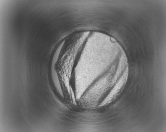 X0000070220063200606232142