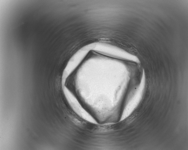 X0000070220093200606232142