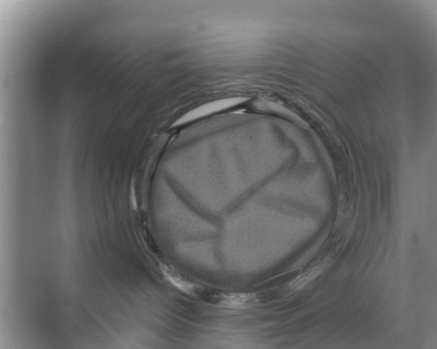 X0000070220096200606232142